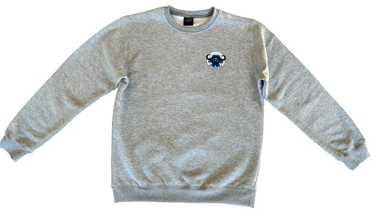 Unisex Fleece Sweatshirt in Grey